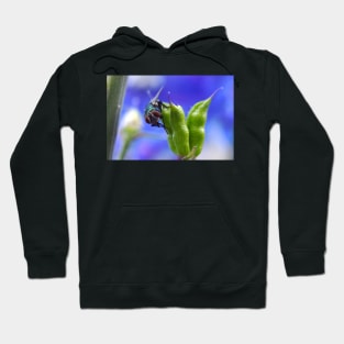 Fly on Pod. Hoodie